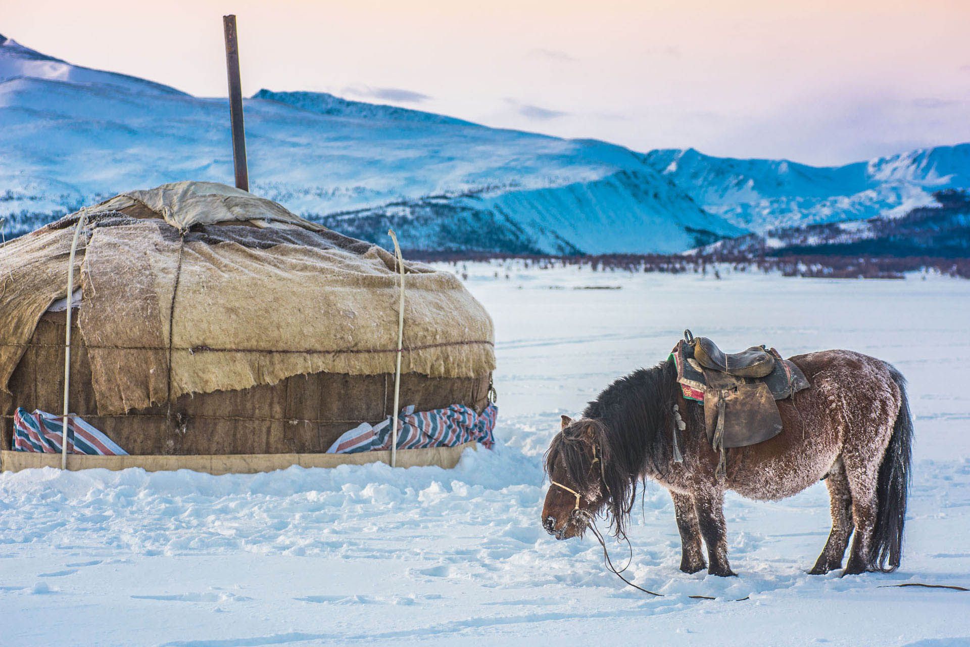 Монголия зимой