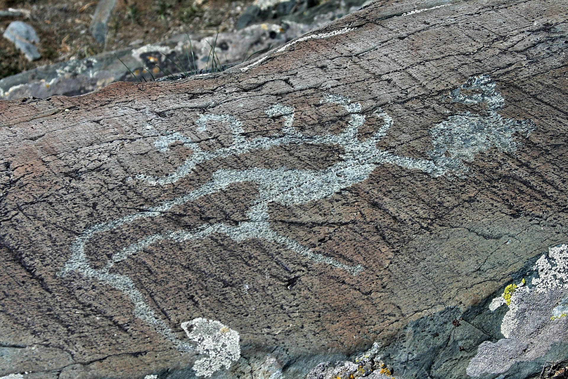 Древние петроглифы горный Алтай