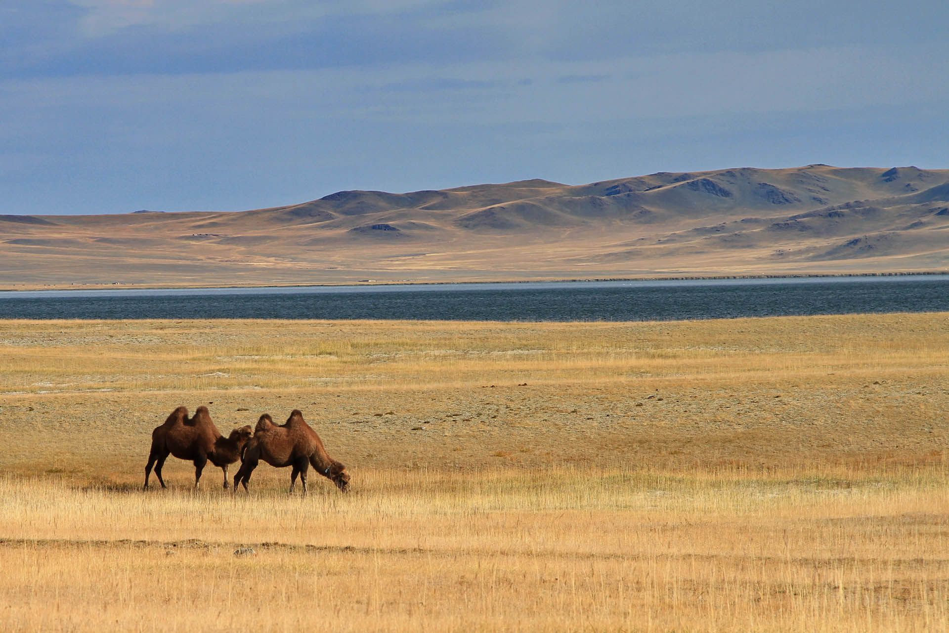 Природа в Монголии